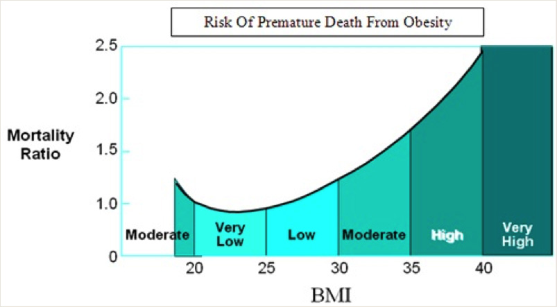 chart showing Obesity Health Threats